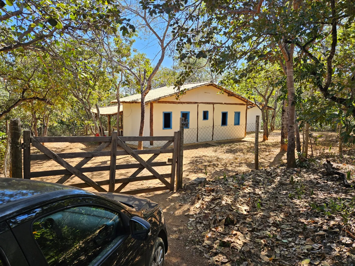 Foto 5
