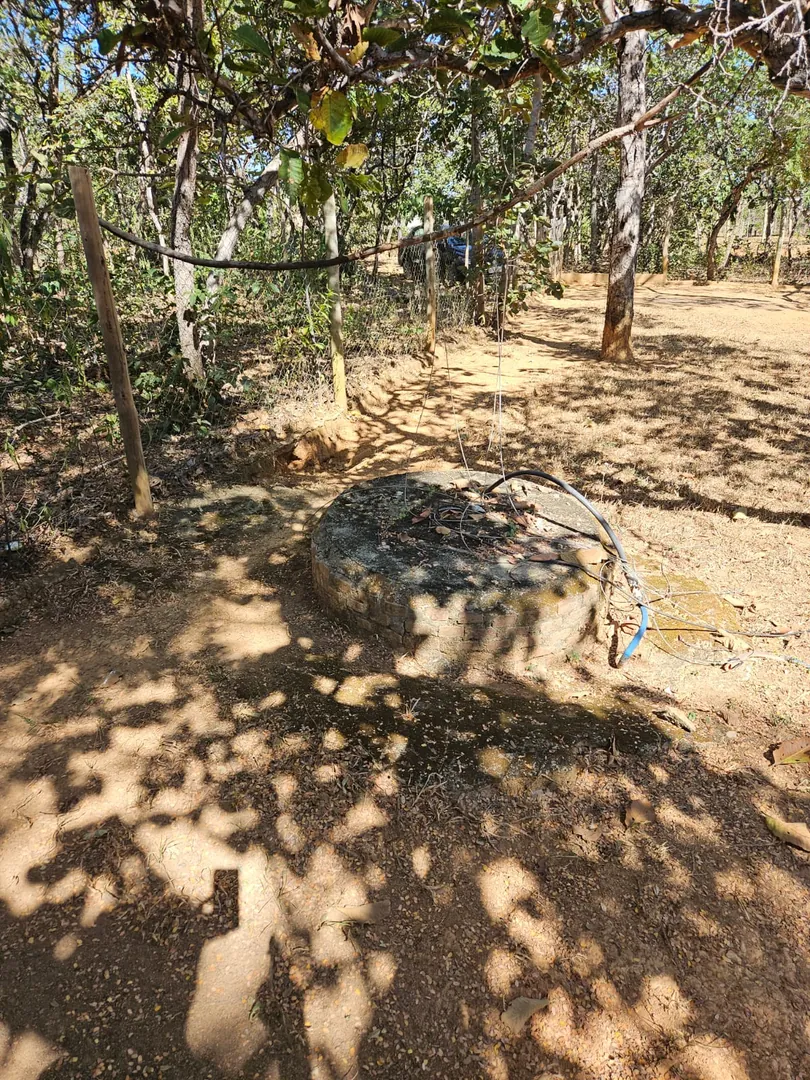 Foto 15